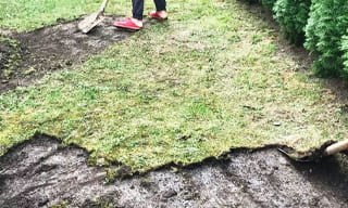 Снятие дерна старого газона в Самаре – от 515 руб. | Раманстрой